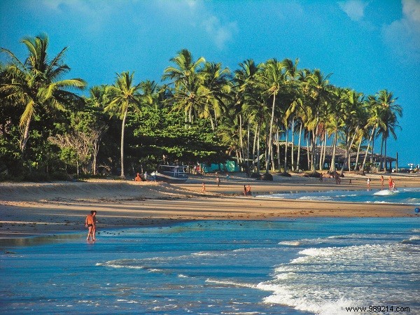 Seven Paradise Places in Bahia, Brazil 