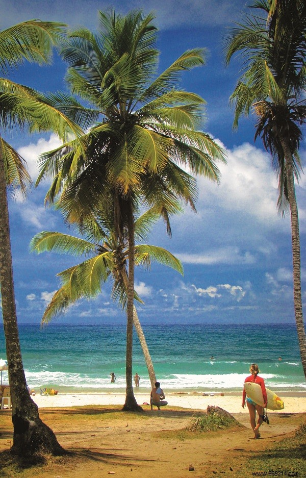 Seven Paradise Places in Bahia, Brazil 
