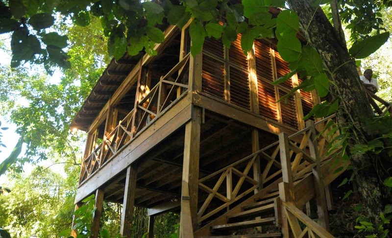 10 x magical tree house hotels to dream away 