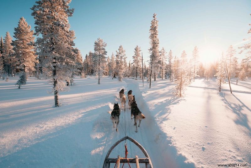 The best winter activities in Finland 