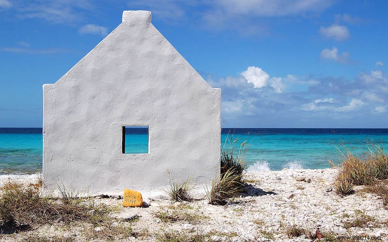 7 things to do on Bonaire 