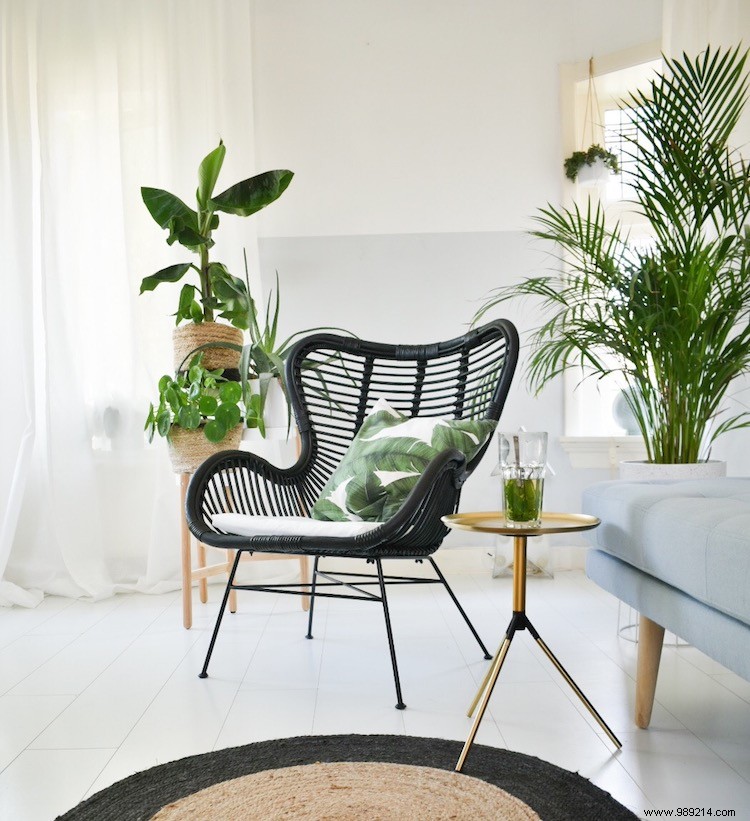 The ideal rattan chair for both indoor and outdoor use 