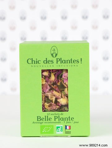 A (chic) ​​spring detox with Chic des Plantes organic infusions! 