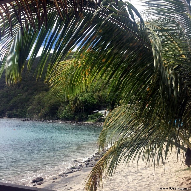 A few days in paradise:in Guadeloupe! 