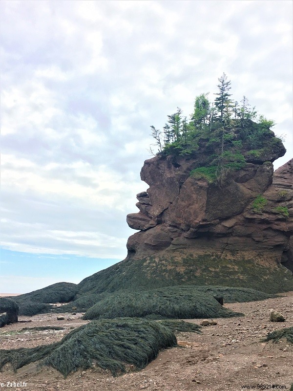 Trip to Canada – New Brunswick (continuation of the circuit) 