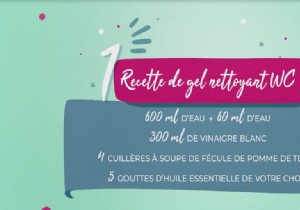 DIY: Simple Homemade Toilet Cleaner Recipe