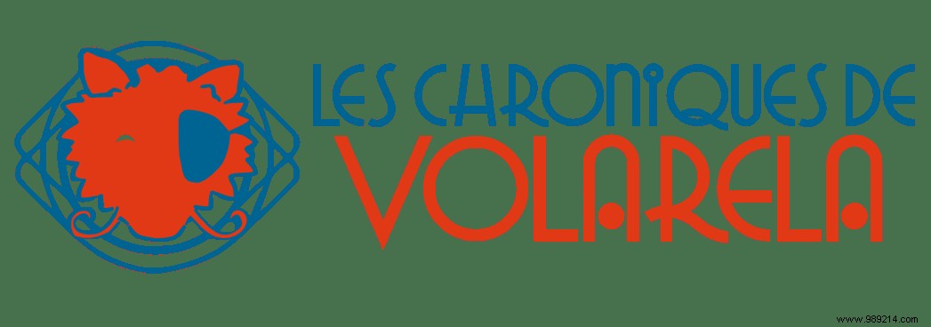 The chronicles of Volarela:a new way of learning 