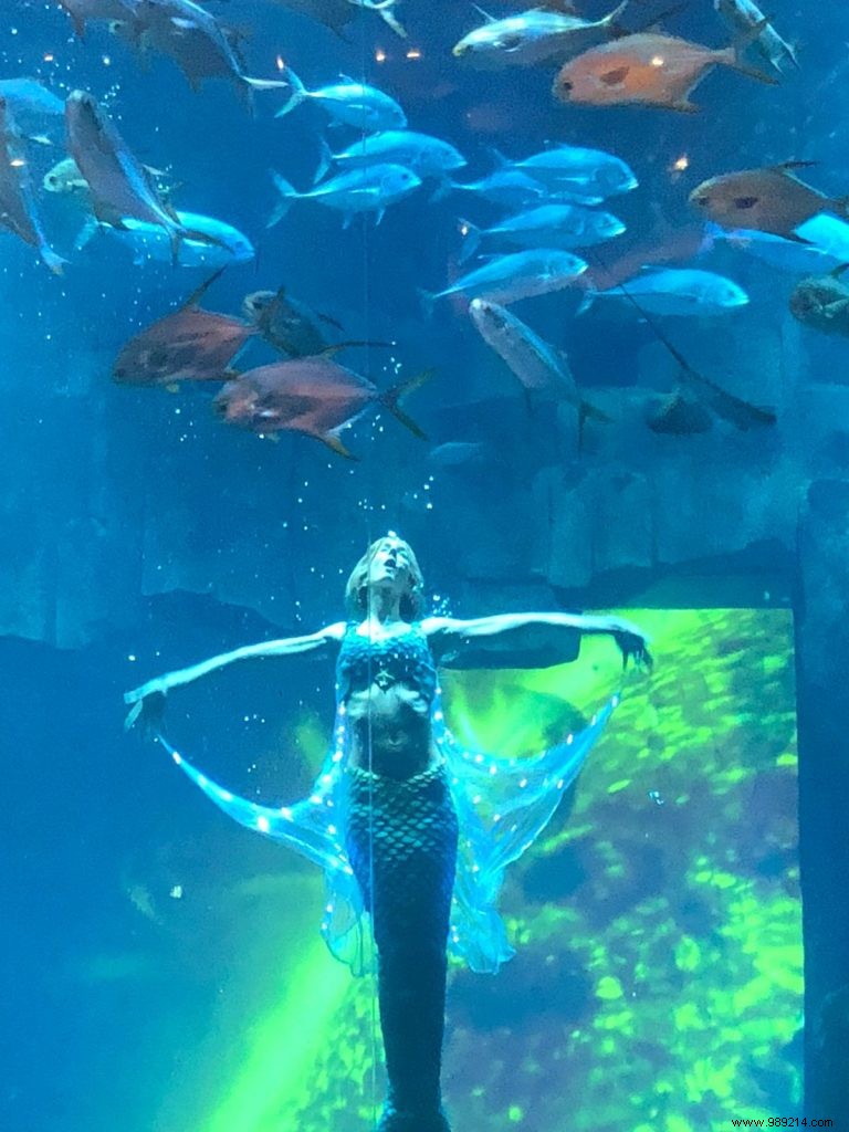The new show at the Aquarium de Paris:Claire the Mermaid 