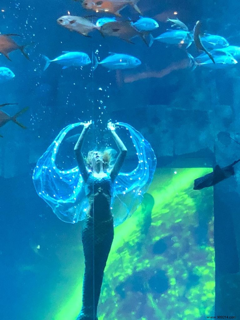 The new show at the Aquarium de Paris:Claire the Mermaid 