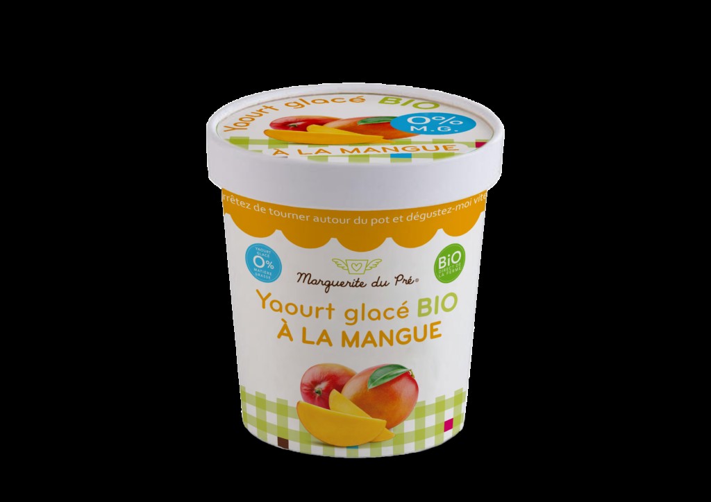 ORGANIC frozen yogurt MARGUERITE DU PRE 