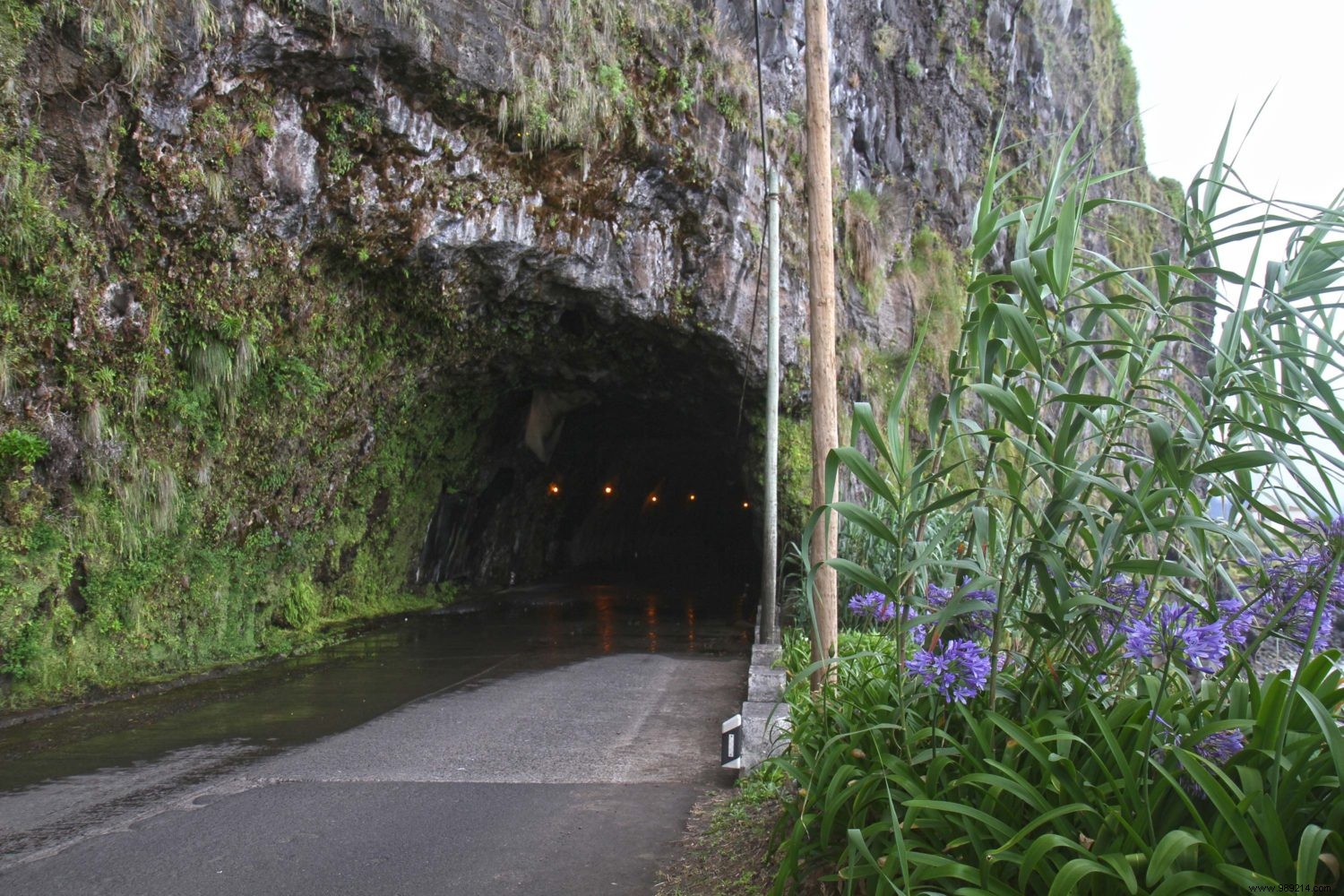 Madeira, our 10 essential things to see or do 