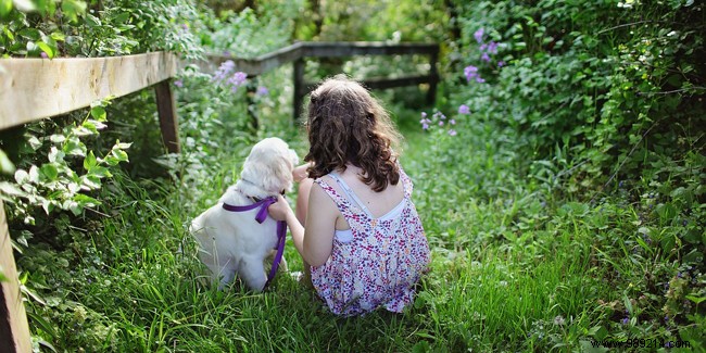 How to choose a pet for your child? 
