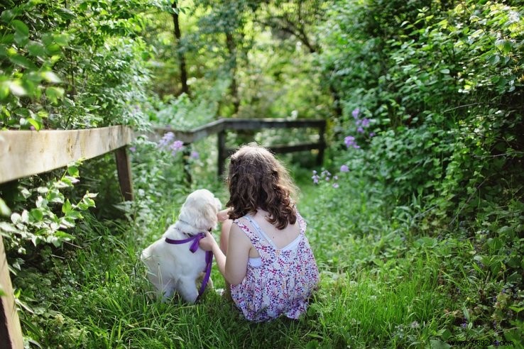 Which calm and kind dog breed to choose with children? 