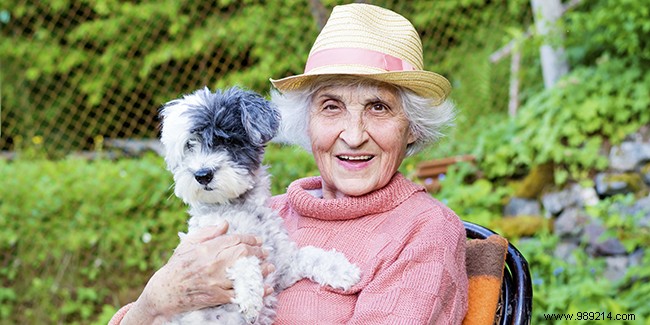 The benefits of a pet for seniors 