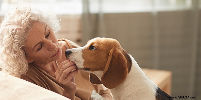 Adopting a pet as a senior:what you need to know 