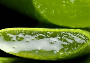 The health benefits of Aloe Vera 