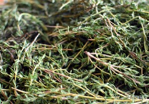 Thyme s Proven Health Benefits: A Time-Tested Herbal Powerhouse