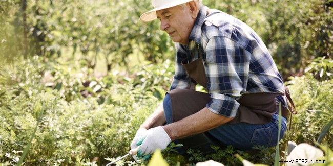 Gardening, one of the favorite activities of retirees! 