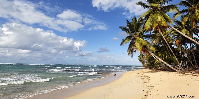 Guadeloupe or Martinique for a stay in the Caribbean? 