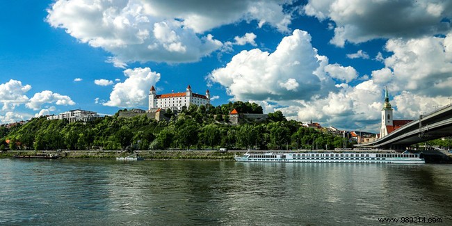 Cruise on the Danube:advice and organization 