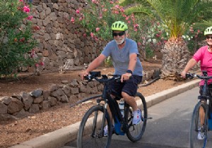 Electric bike for seniors:how to choose it? 