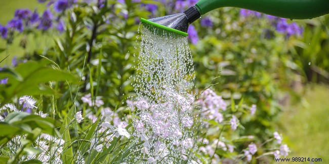 Watering the garden during the summer, how to save water? 