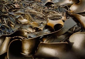 Unlocking Seaweed s Health Benefits: Nutrition, Safety, and Proven Advantages