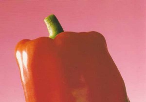 Tri-Color Bell Pepper Terrine with Creamy Brousse