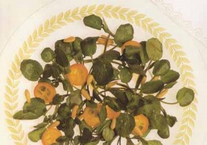 Watercress Salad with Golden Kumquats and Grilled Pine Nuts 