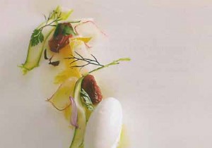 Pike-perch Fredrik style, tomato jelly and raw vegetables, yoghurt sorbet 