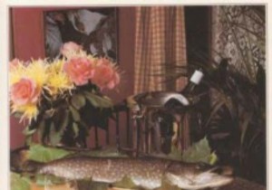 Pike cutlets with scallops 