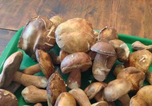 Creamy ceps soup, grilled baguette slices. 
