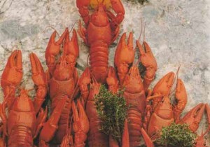 Authentic Lyon Crayfish Tail Gratin: A Festive French Classic