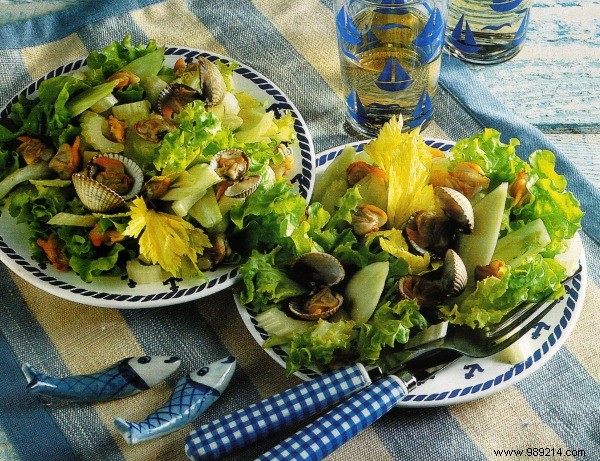 Clam salad with fennel 