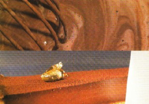 Creamy chocolate shortbread 