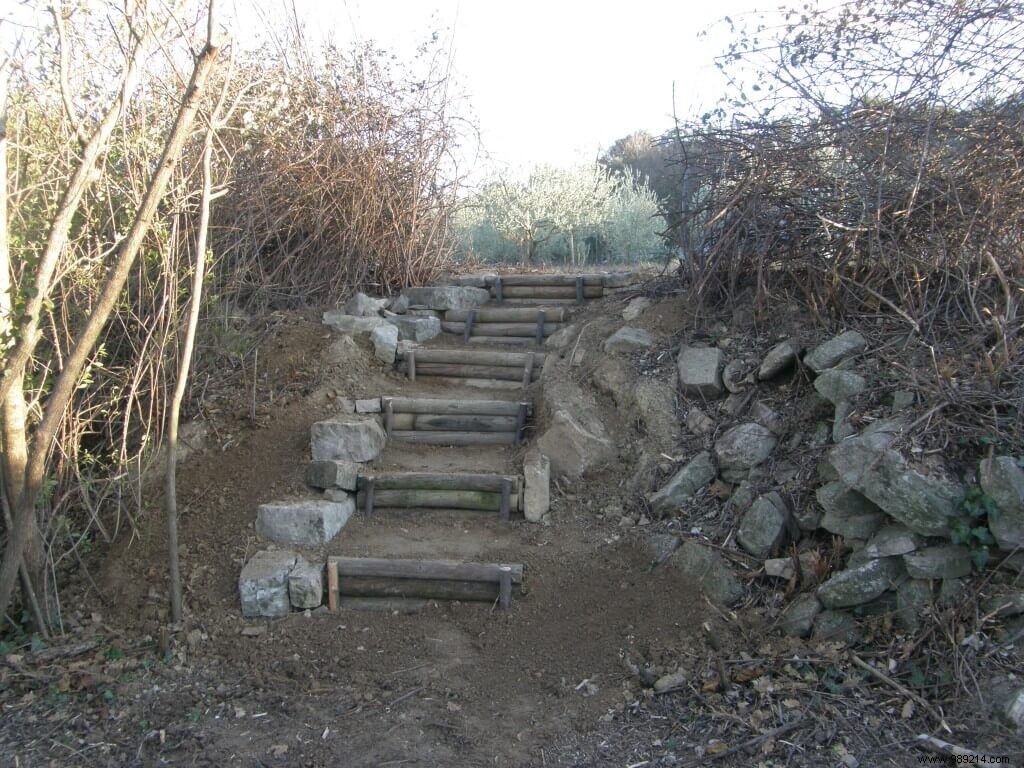 Log staircase 