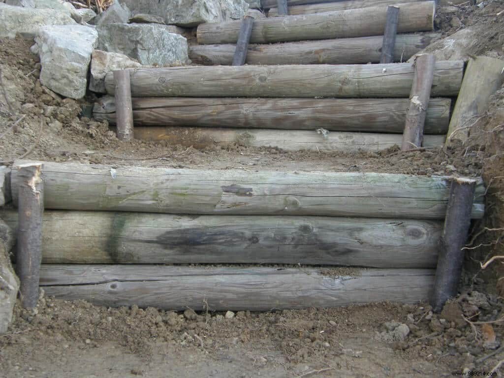 Log staircase 