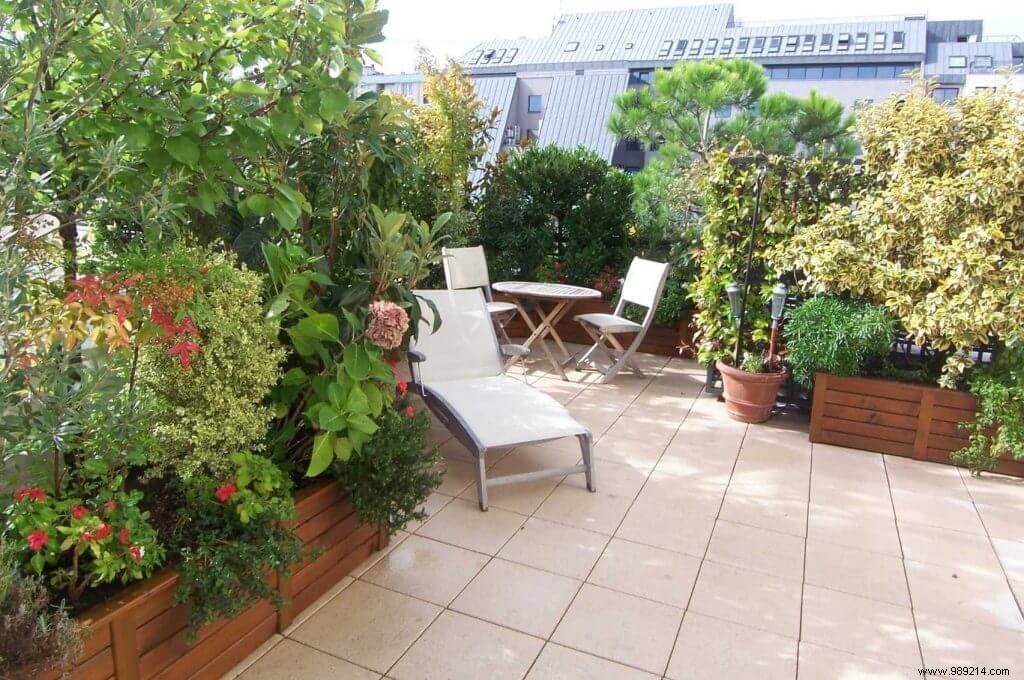How to turn a balcony into a garden? 