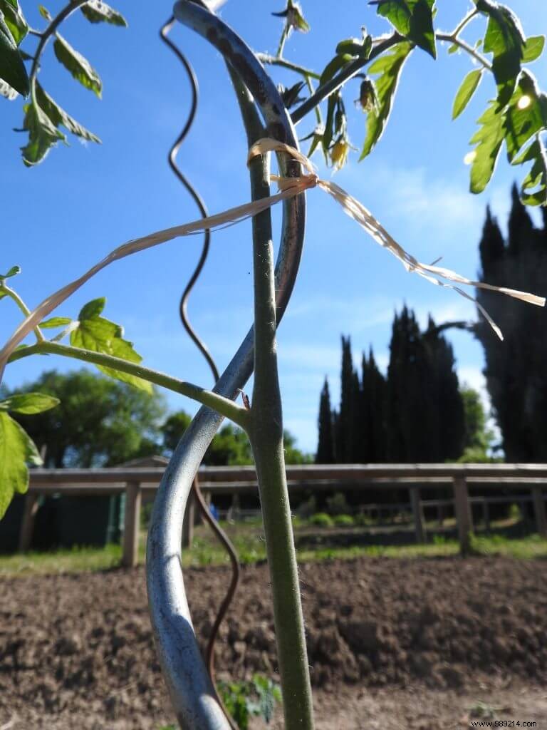 Metal stake:Love at first sight in the vegetable garden 