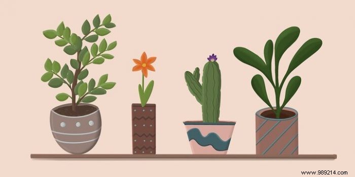 How to move your plants without killing them? 
