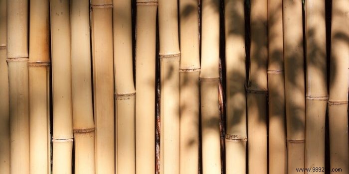 Do-it-yourself bamboo fence, the required tools 