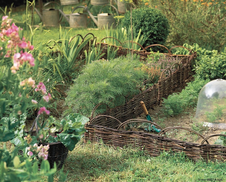 How to organize your garden well? 