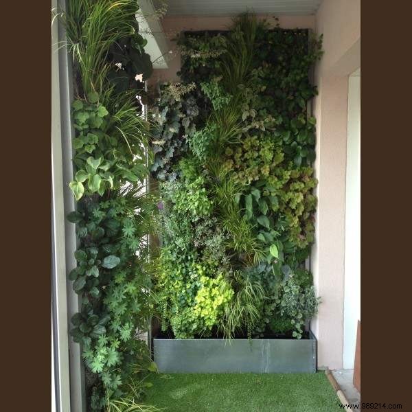 Create an indoor garden for a relaxation area 