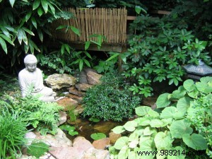 A Japanese garden at home, dream or reality? 