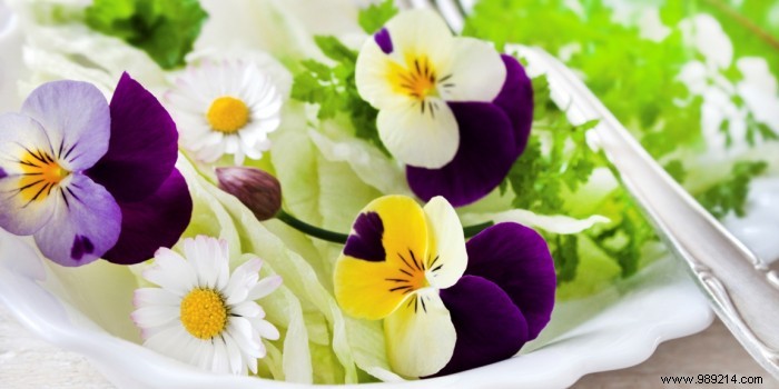 Flowers that can be eaten:the garden on your plate 
