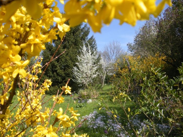 What to do in your garden in April? 