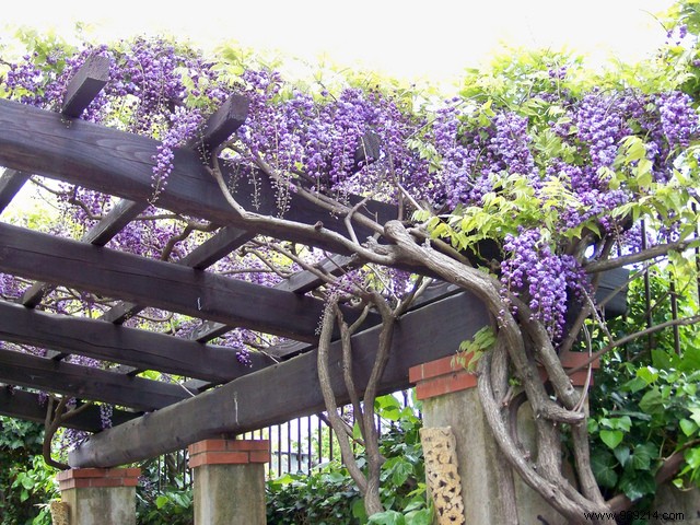 Beautify the garden with a decorative shelter 