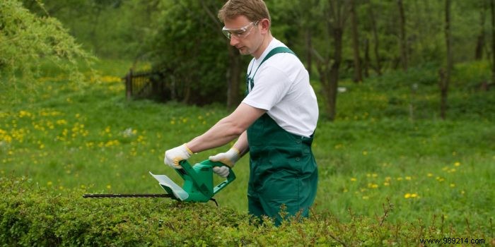 The electric hedge trimmer, an essential tool for the gardener 