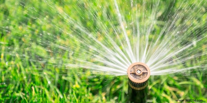How to automatically water your lawn 