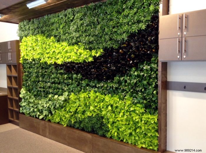 A green wall to beautify the garden 
